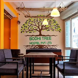 Bodhi Tree Katmandú